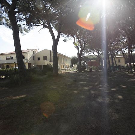 Il Giaguaro Apartment Vada Exterior photo